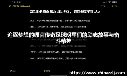 追逐梦想的绿茵传奇足球明星们的励志故事与奋斗精神